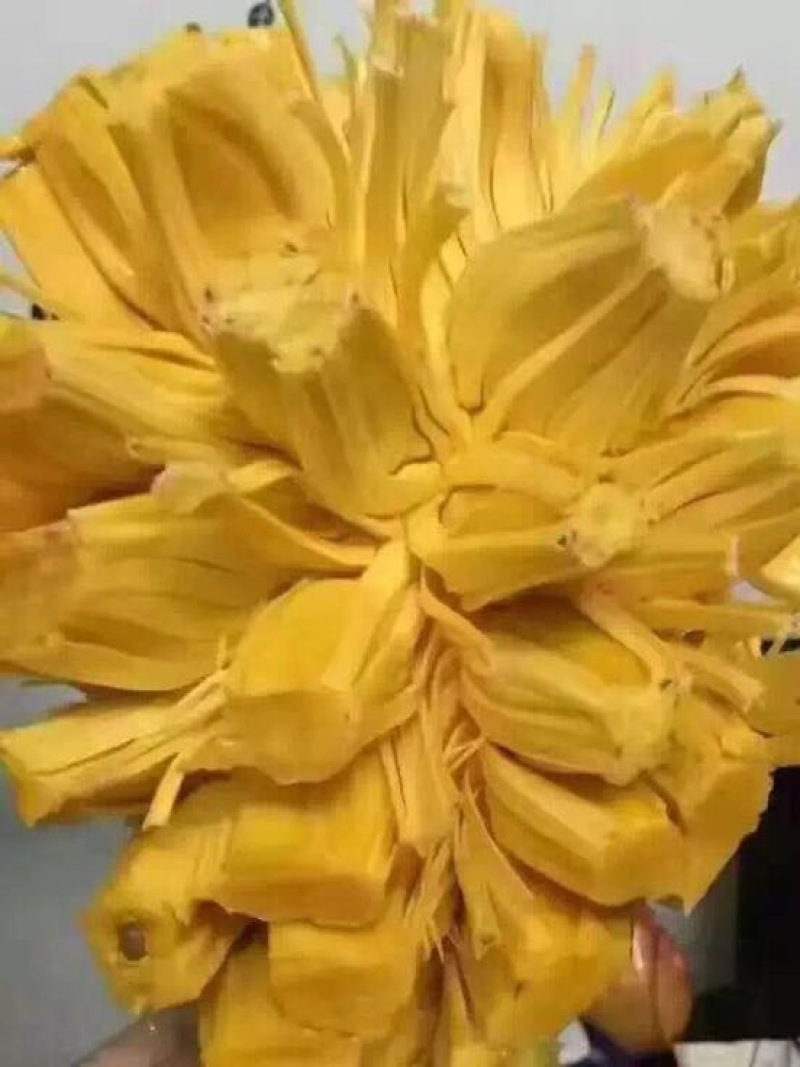 菠萝蜜