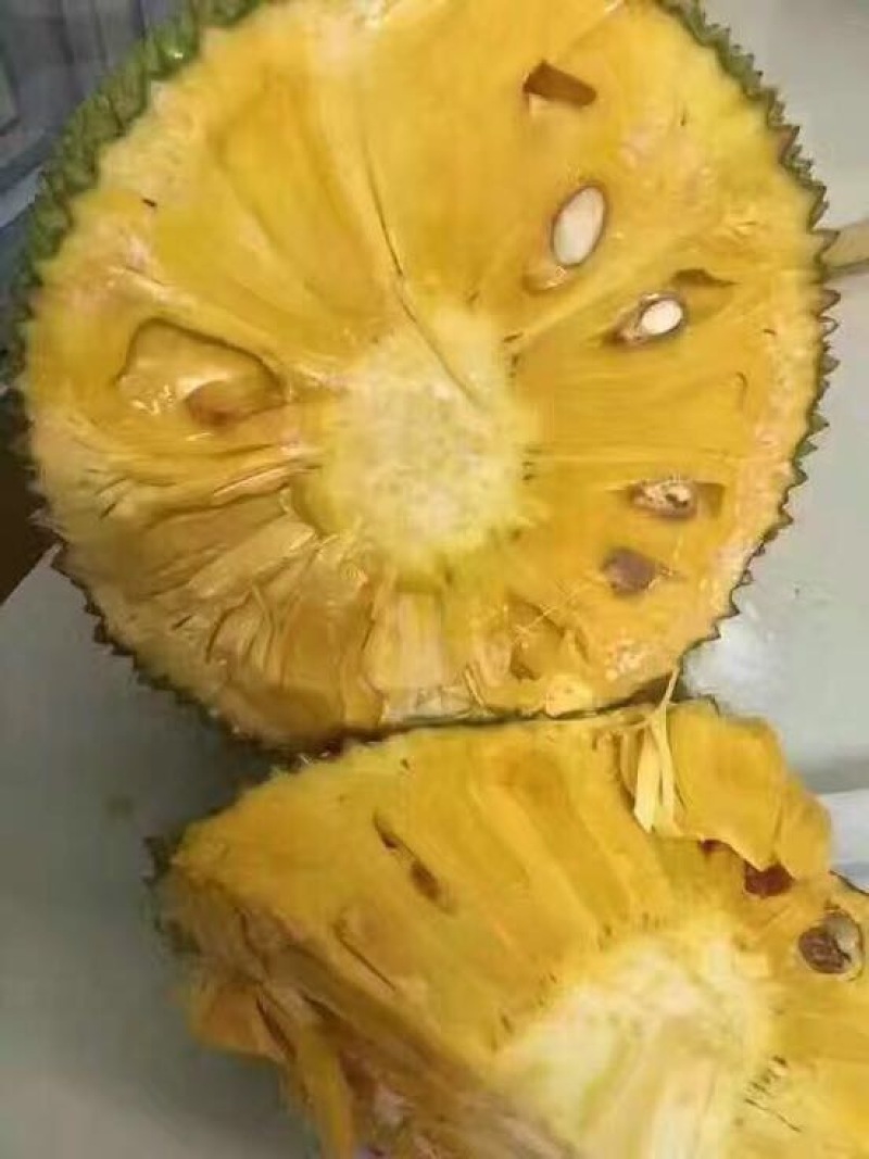 菠萝蜜