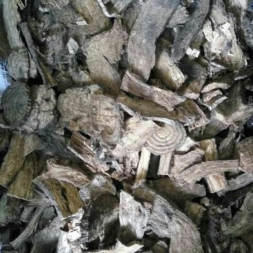 野生葛根柴统片