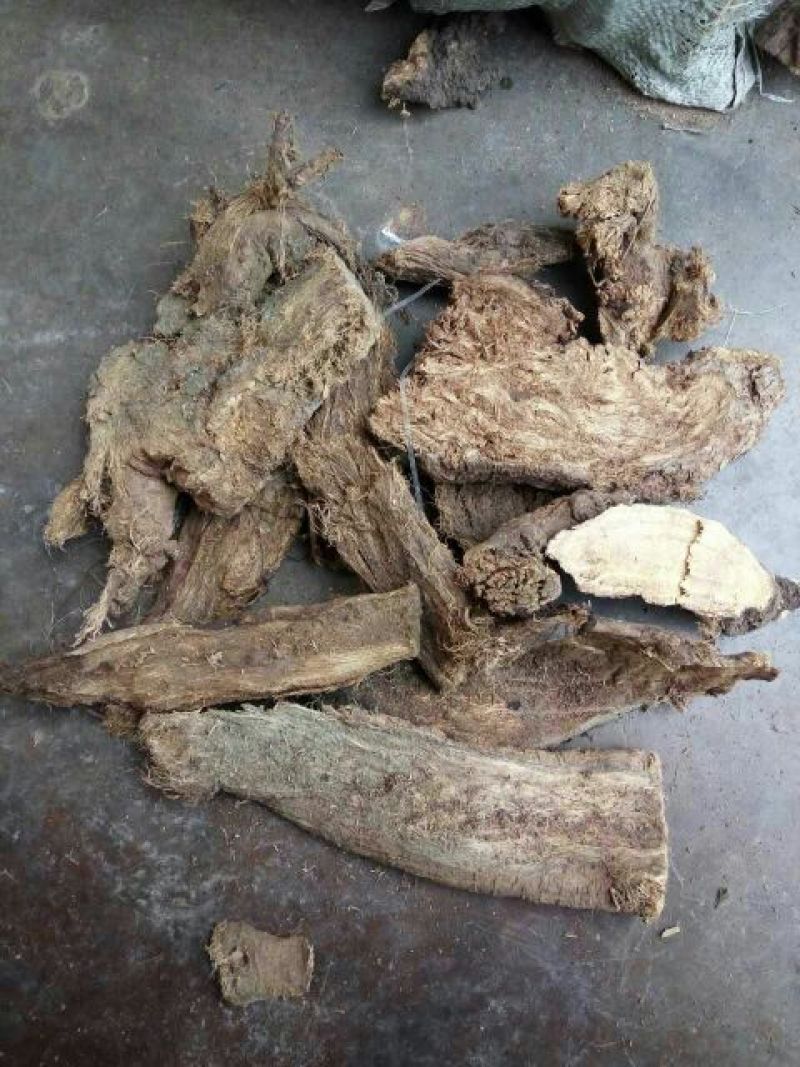 野生葛根柴统片