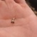 云南高产量，高含量滇重楼种苗，（七叶一枝花）种苗。