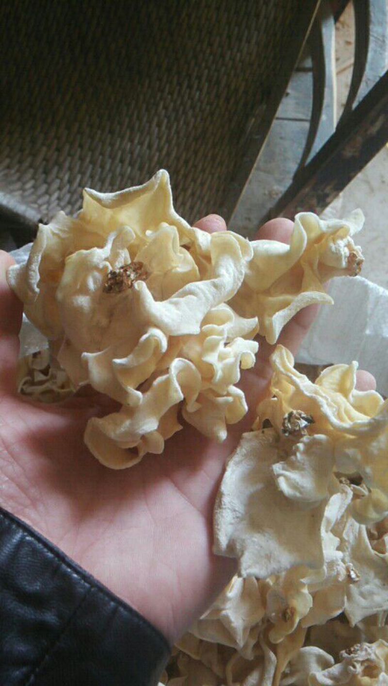 白木耳特级