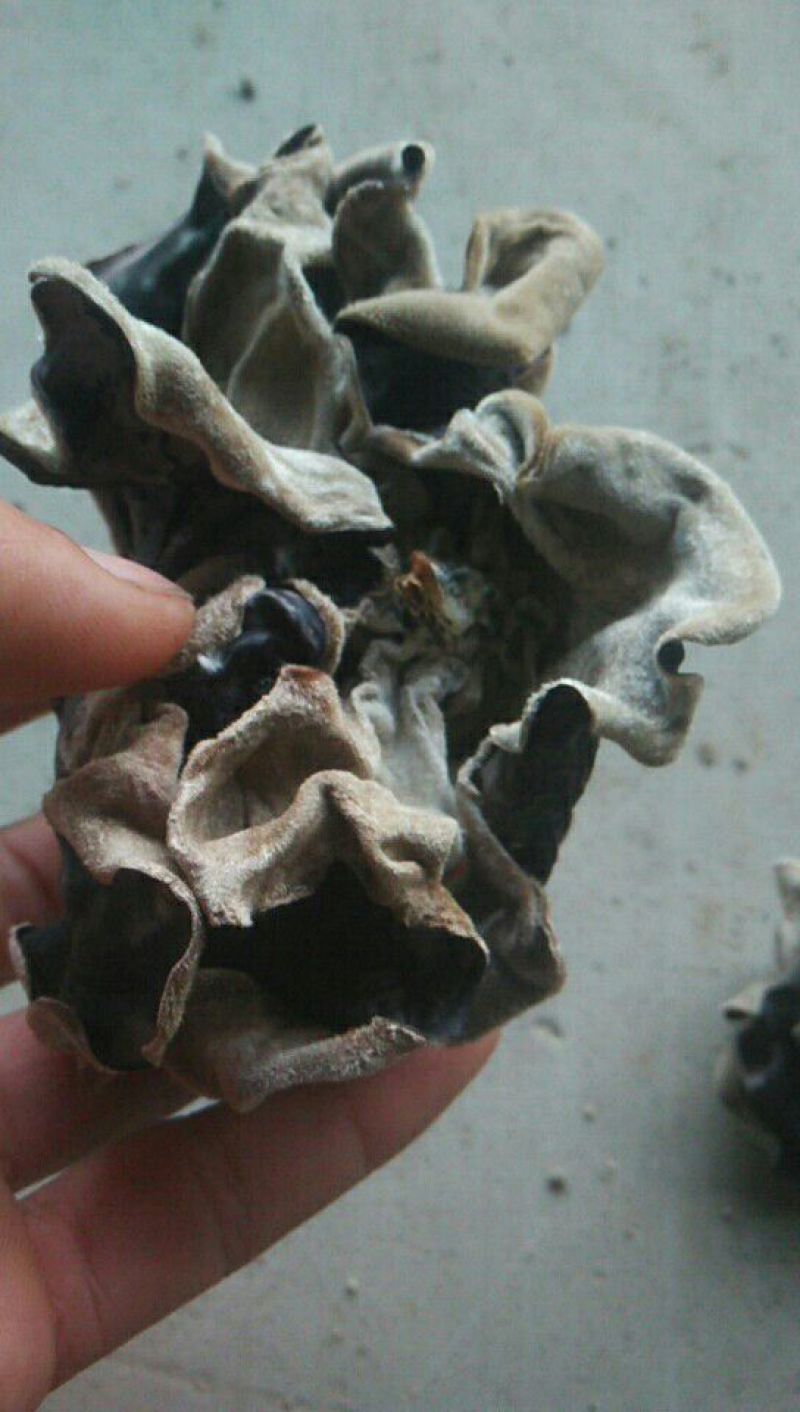 白木耳特级