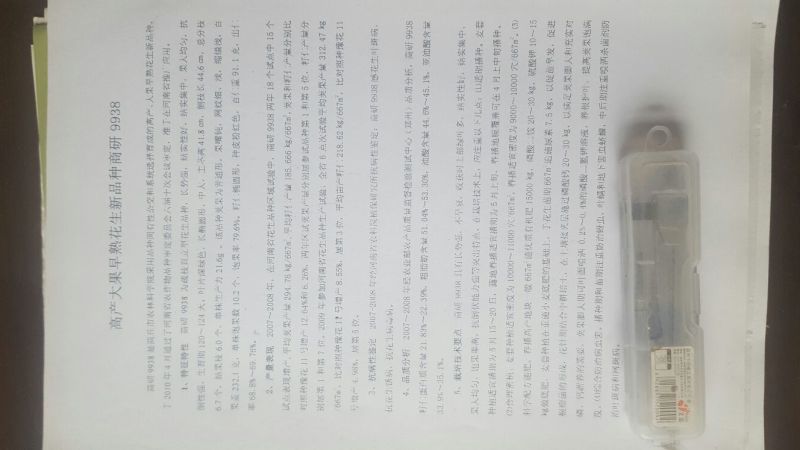 带壳花生干货带壳
