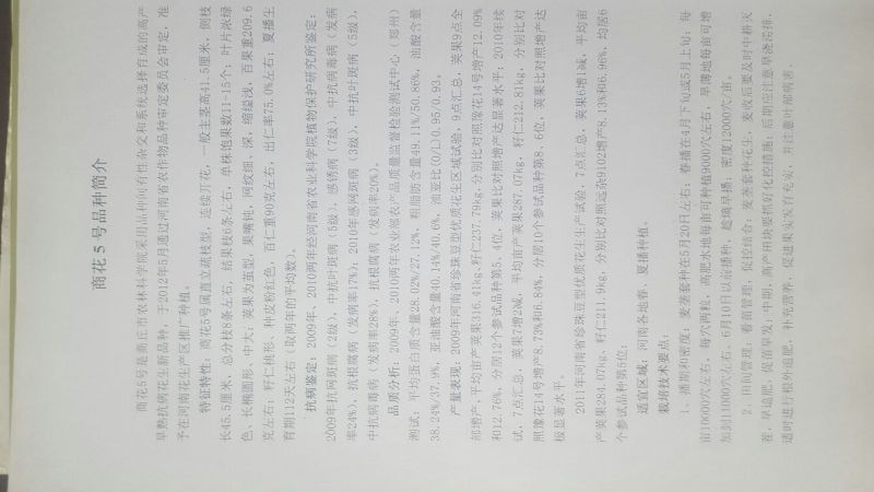 带壳花生干货带壳