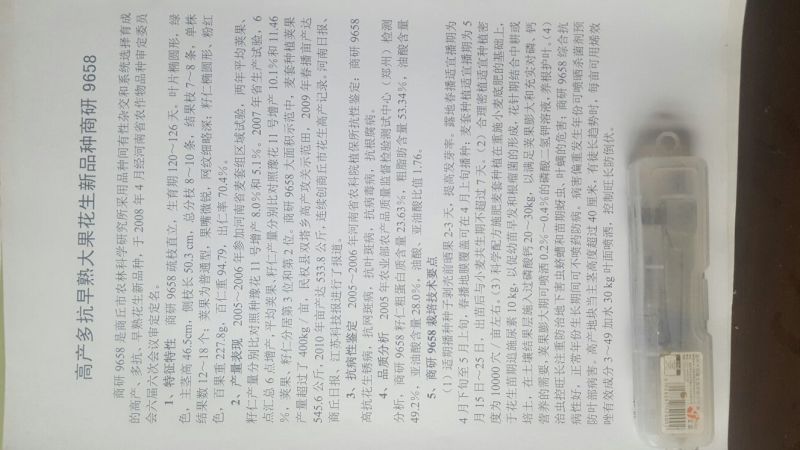 带壳花生干货带壳