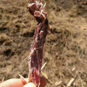 牛肉干