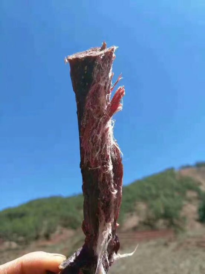 牛肉干