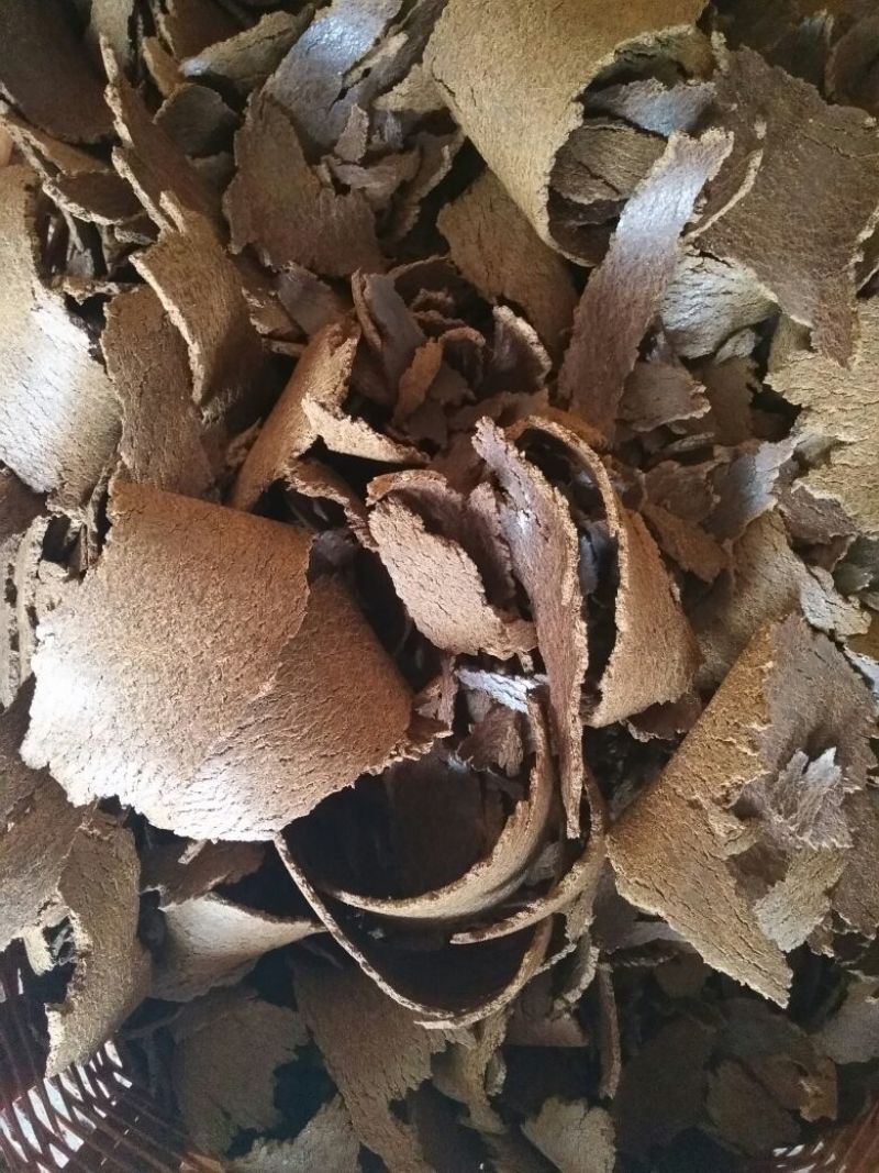 油枯