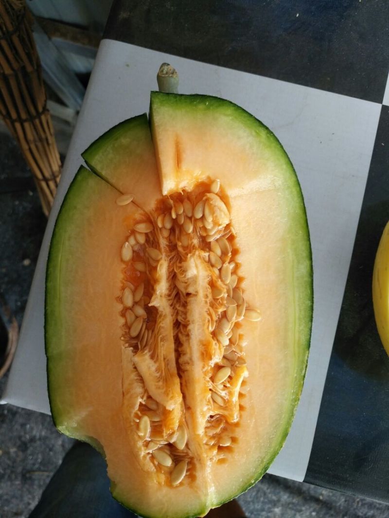 西州蜜瓜3斤以上长圆形