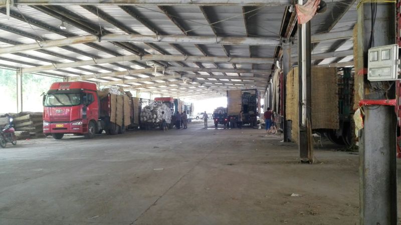 荷兰十五土豆通货大量供应全国发货欢迎洽谈