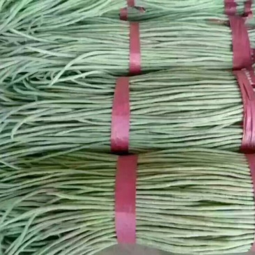 长豆角70厘米以上，质量保证，大量供货