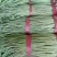 长豆角70厘米以上，质量保证，大量供货