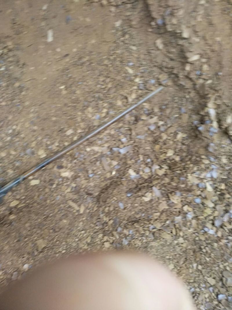 油枯