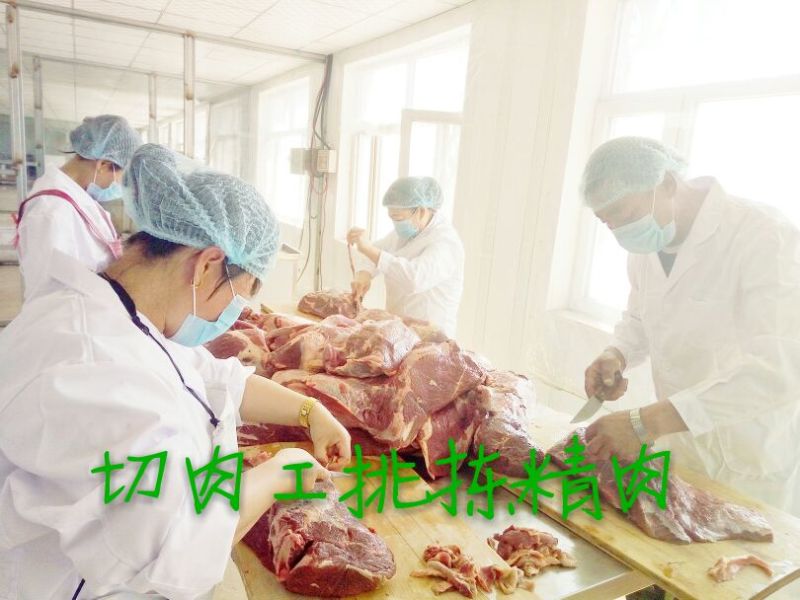 牛肉干黄牛肉鲜肉