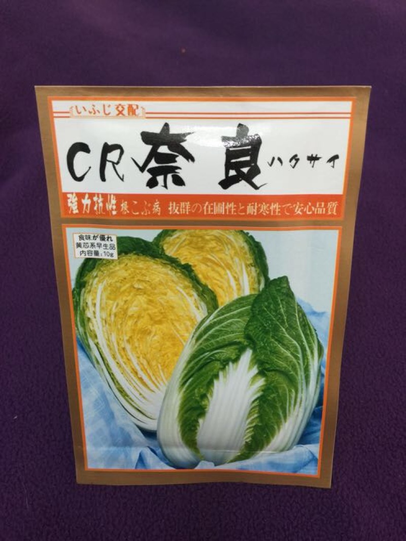 白菜种子