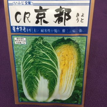 白菜种子
