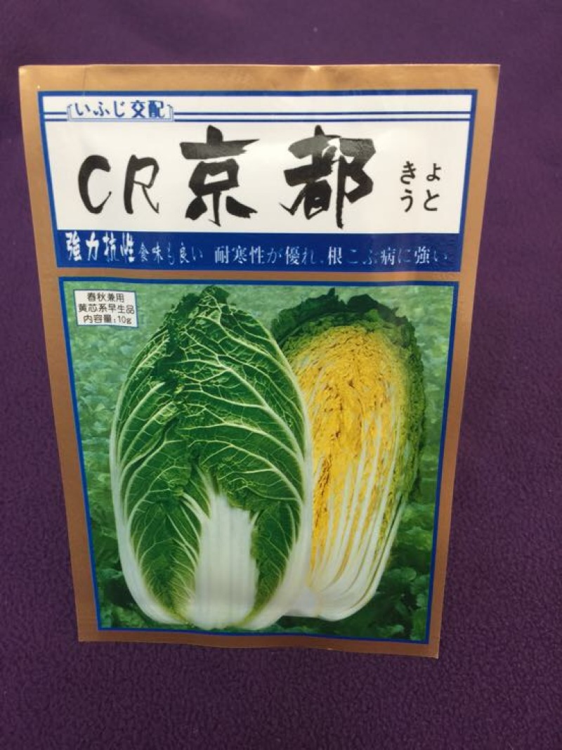 白菜种子