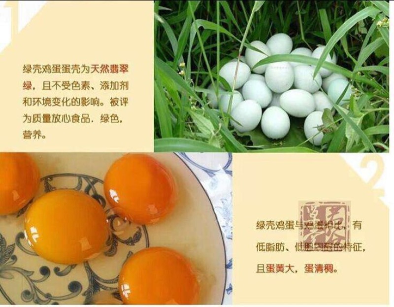 种蛋