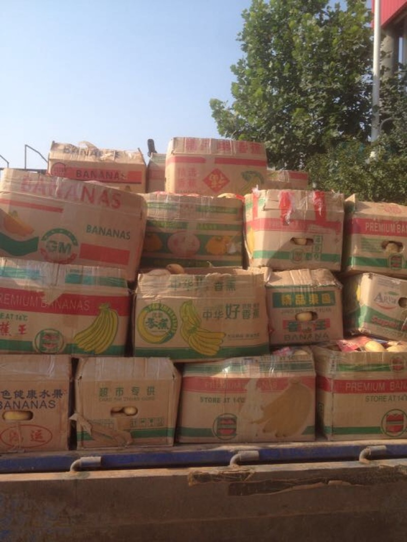 荷兰十五土豆