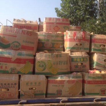 荷兰十五土豆