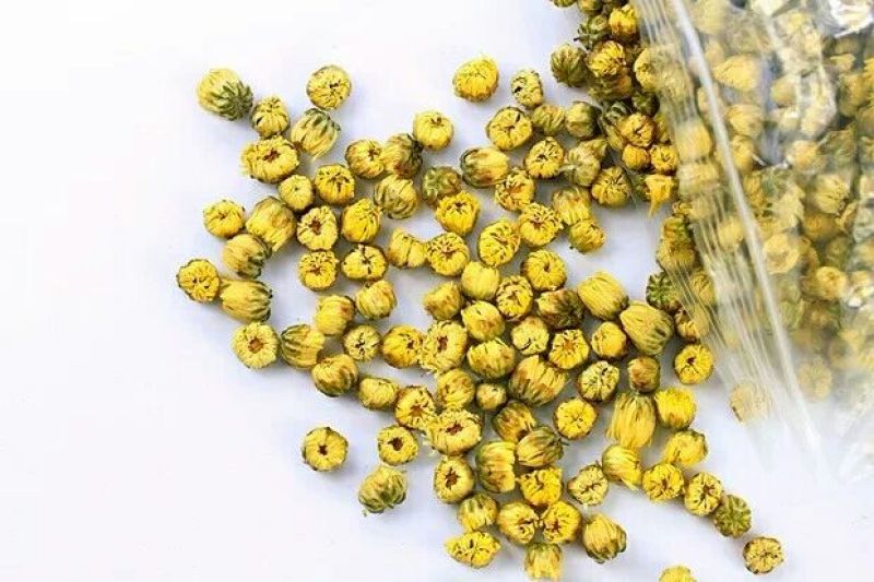 菊花茶特级