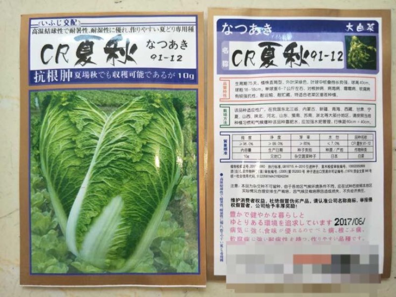 白菜种子