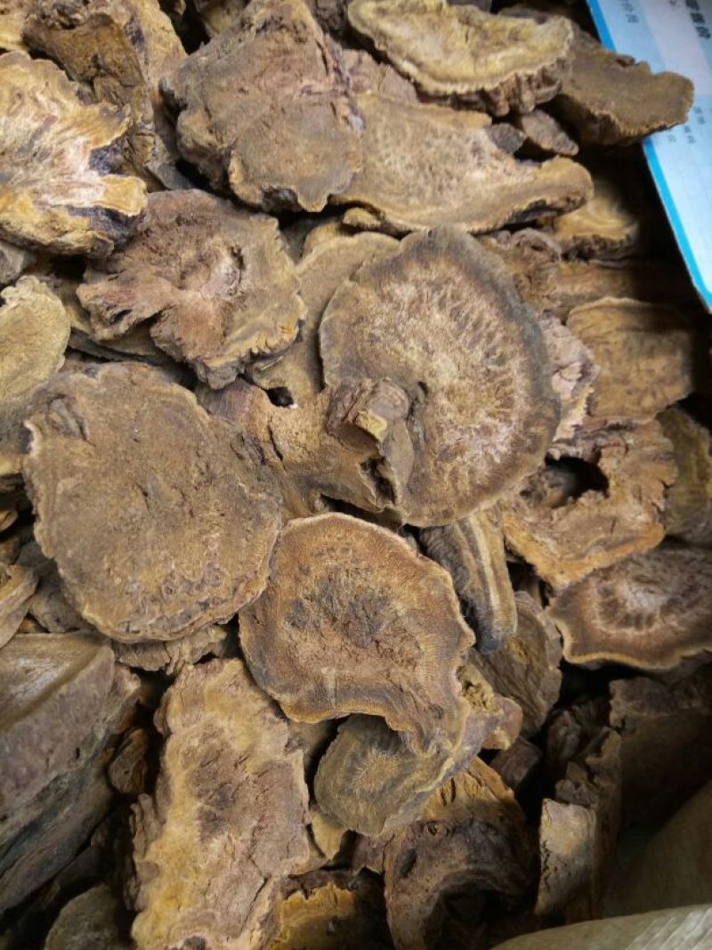 大黄甘肃西大黄干货量大从优