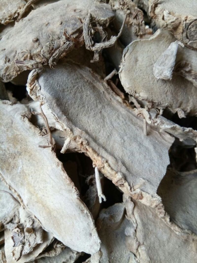 片姜黄福建选货大片量大从优健康至上莫贪便宜