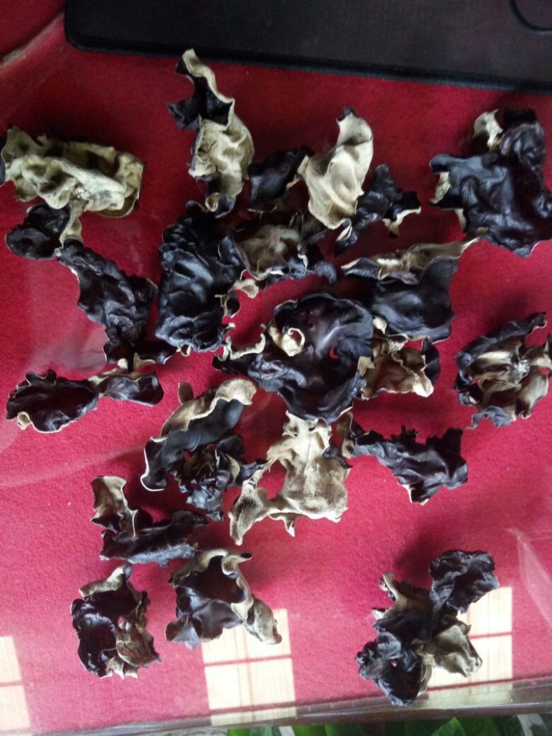 洗水木耳，过筛无碎，足干足秤