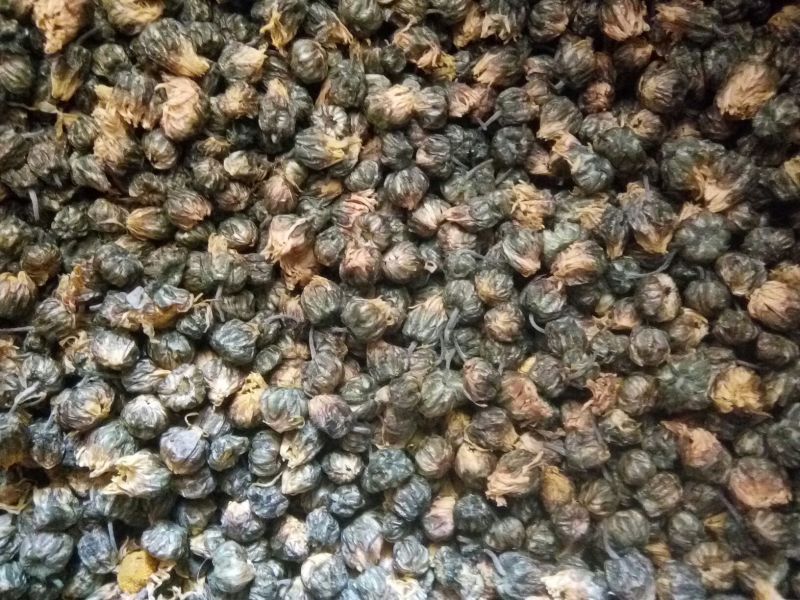 菊花茶二级