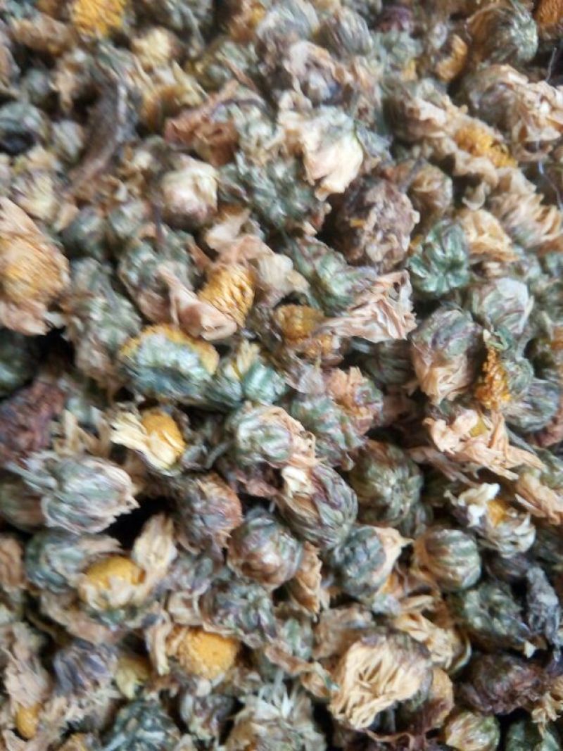菊花茶二级