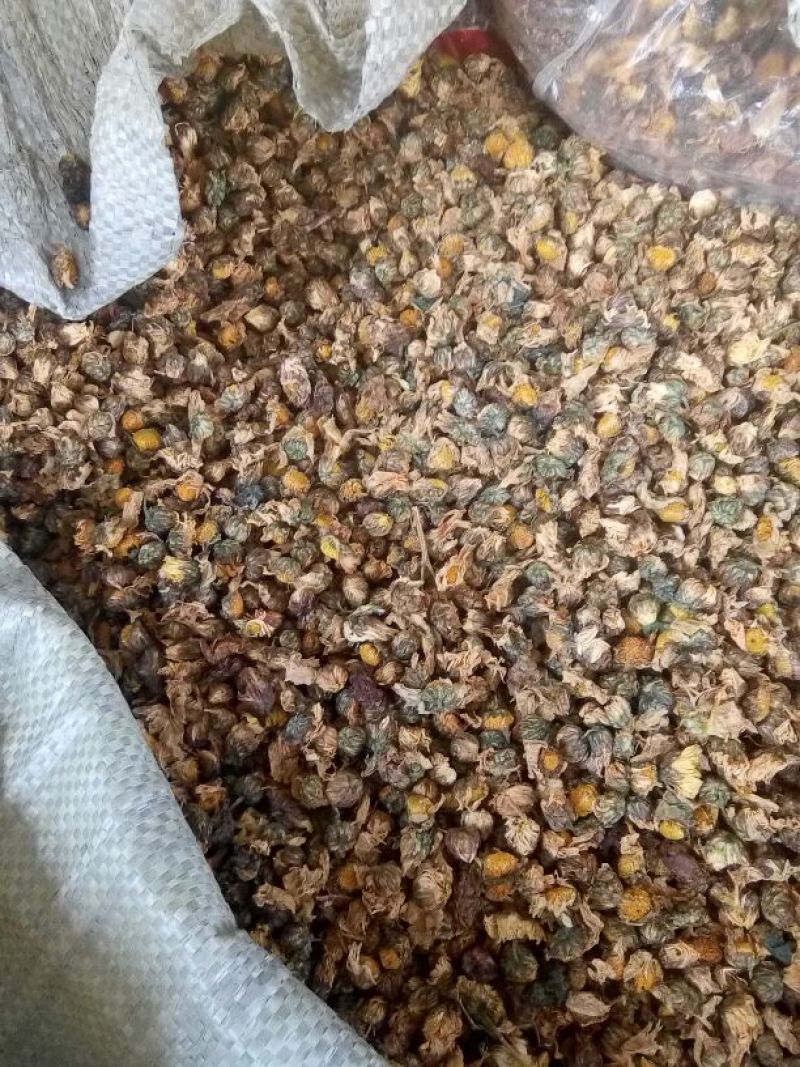 菊花茶二级