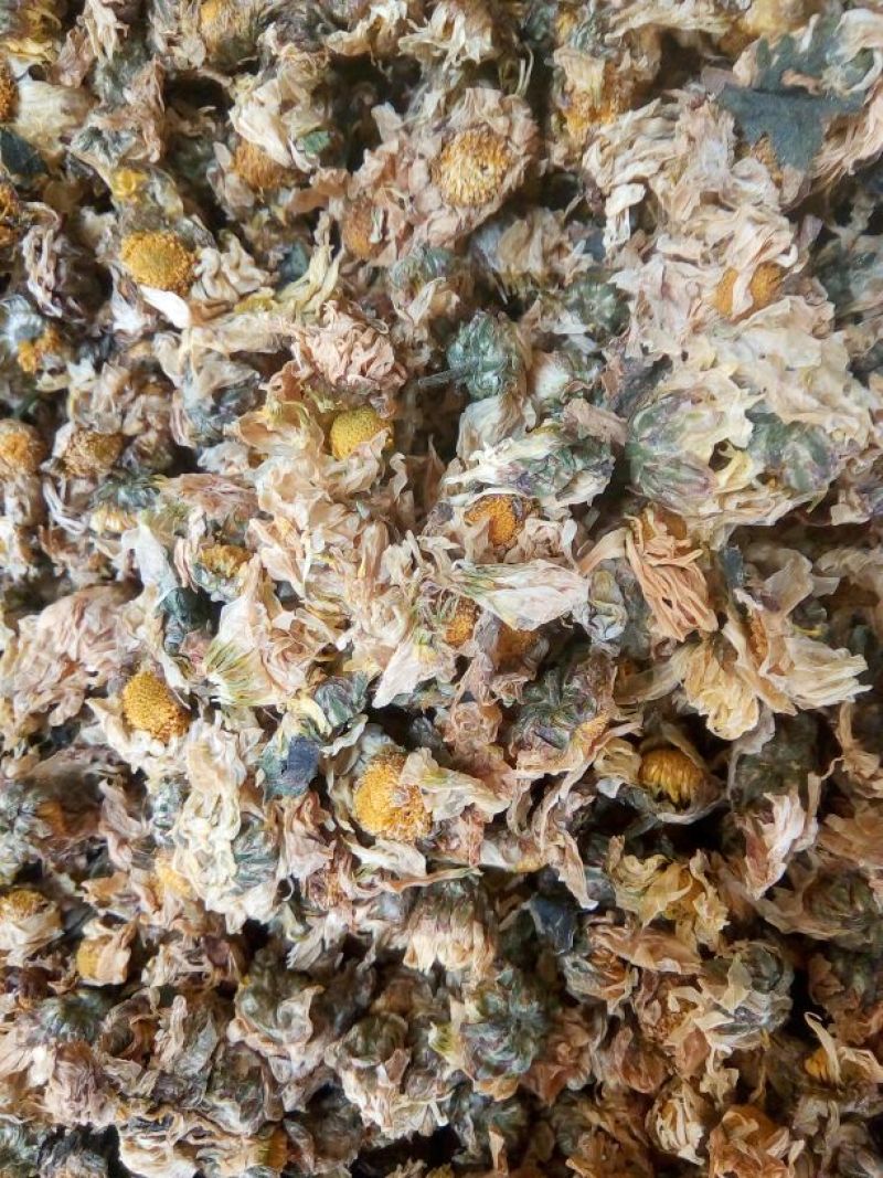 菊花茶二级