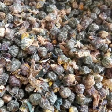 菊花茶二级