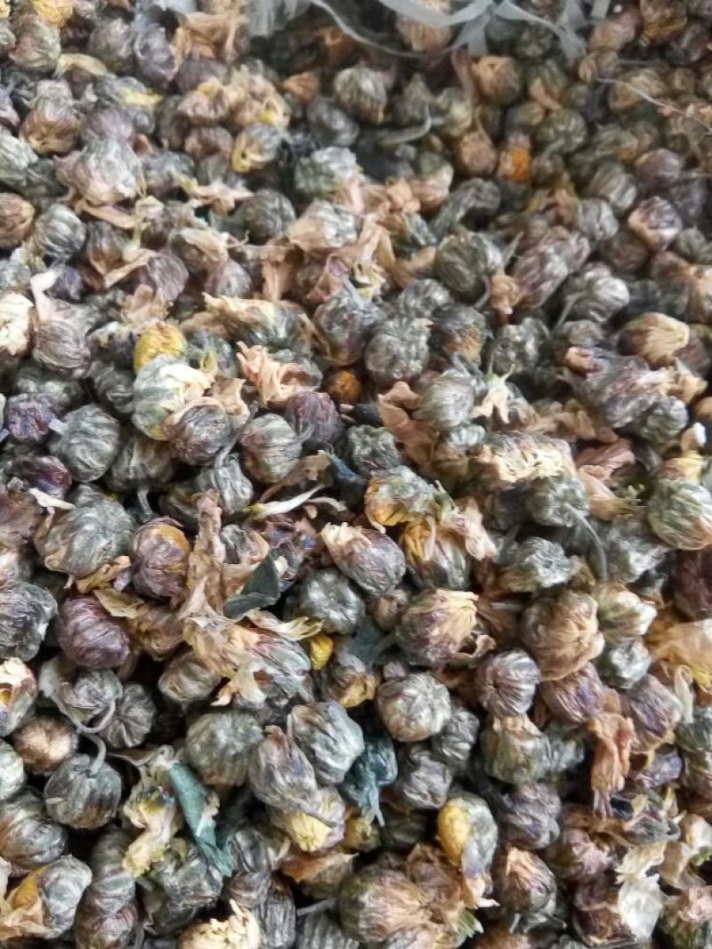 菊花茶二级