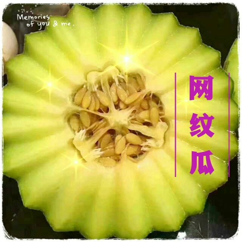 网纹瓜3斤以上椭圆形