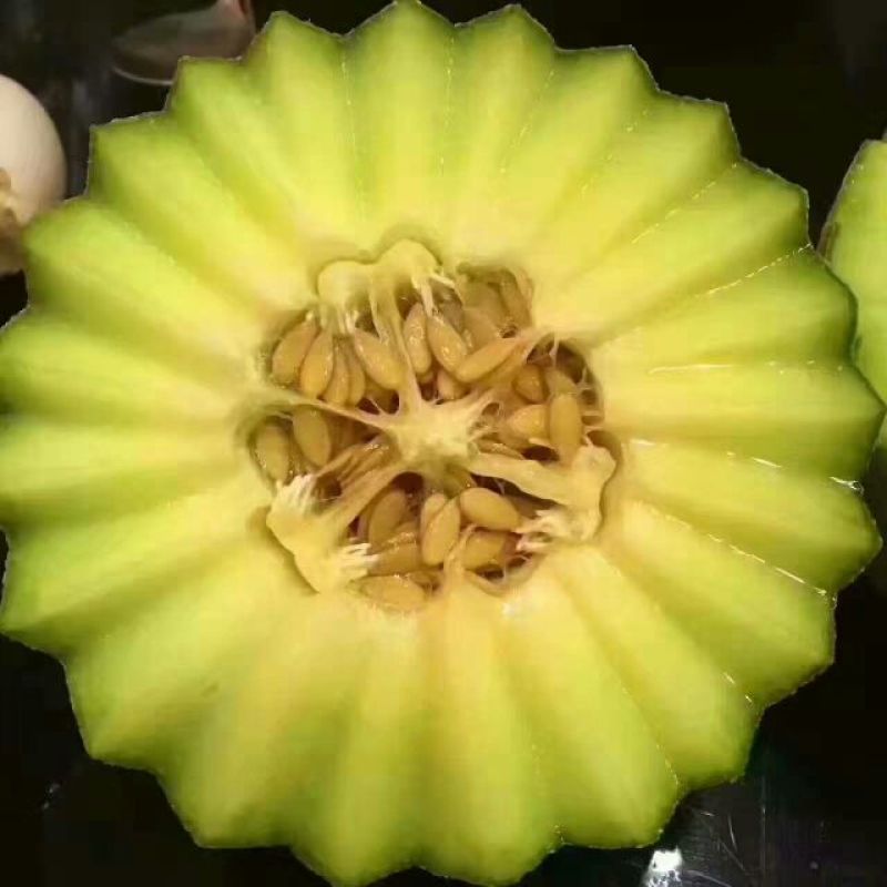网纹瓜3斤以上椭圆形