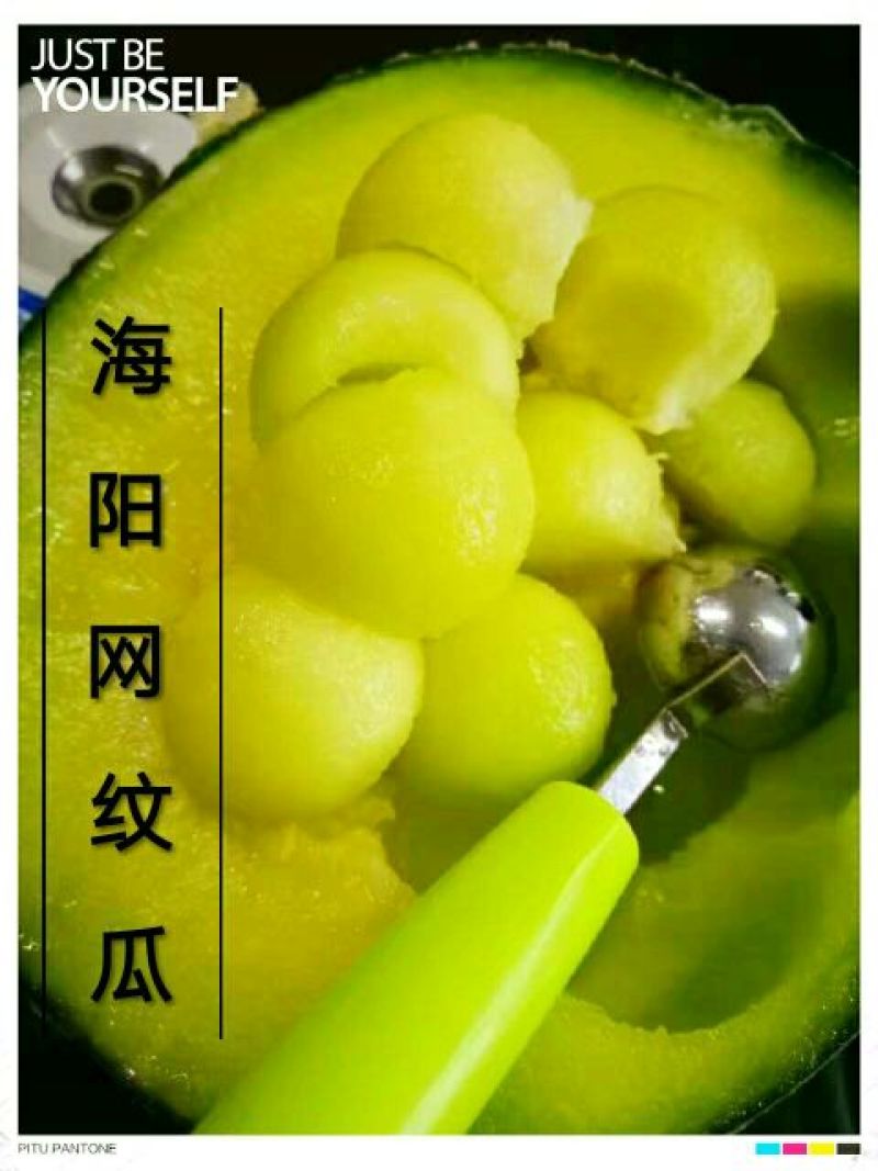网纹瓜3斤以上椭圆形
