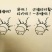 8424西瓜7斤打底9成熟1茬