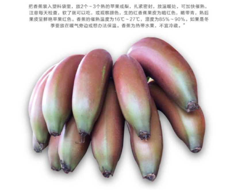 红香蕉