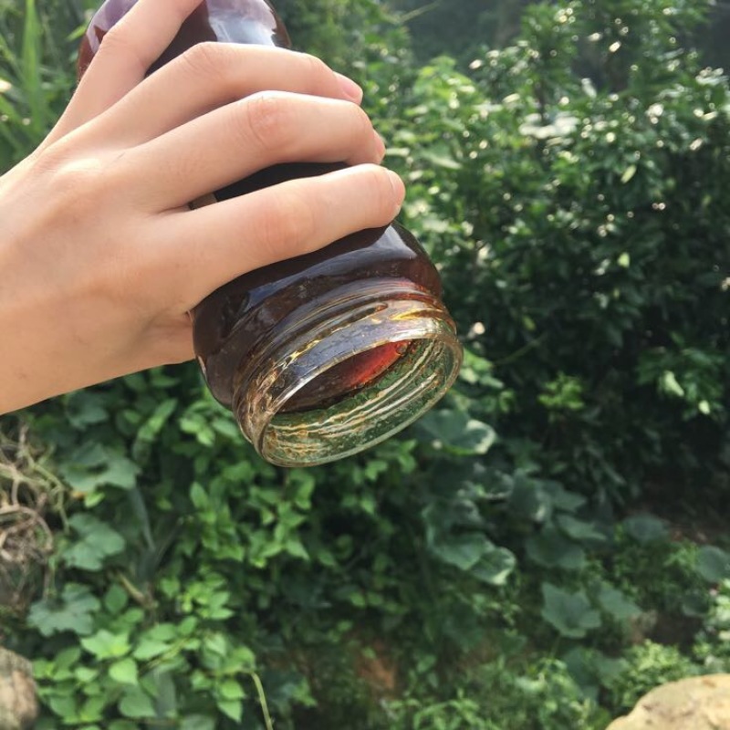 枇杷膏