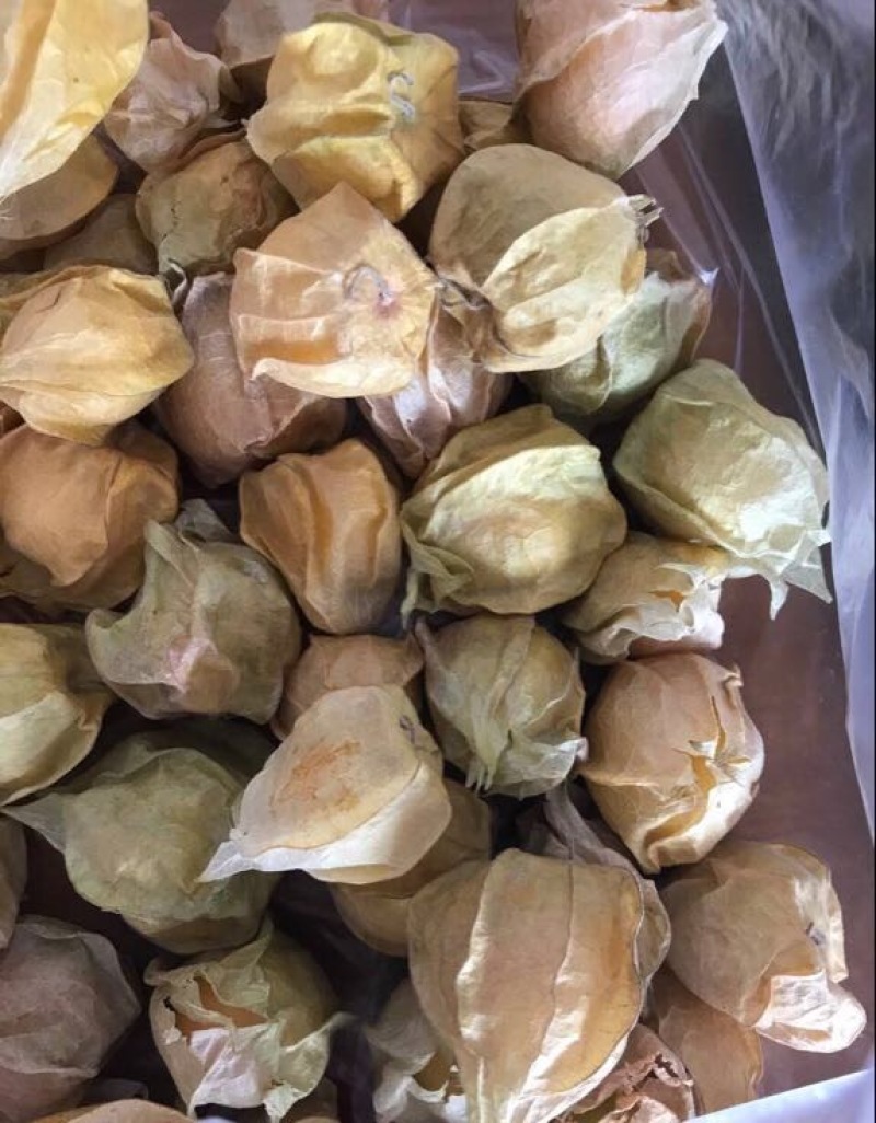 灯笼果