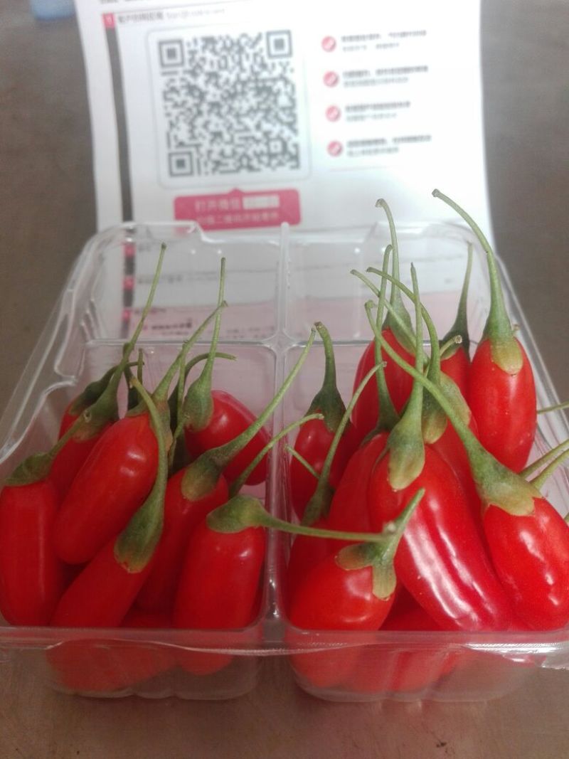 宁杞5号头茬鲜果