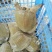 鳖苗雄人工养殖