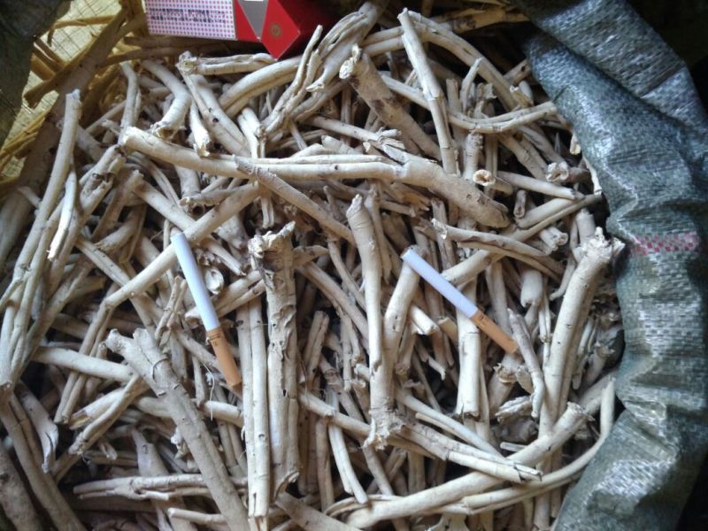 白鲜皮大中小统货精选