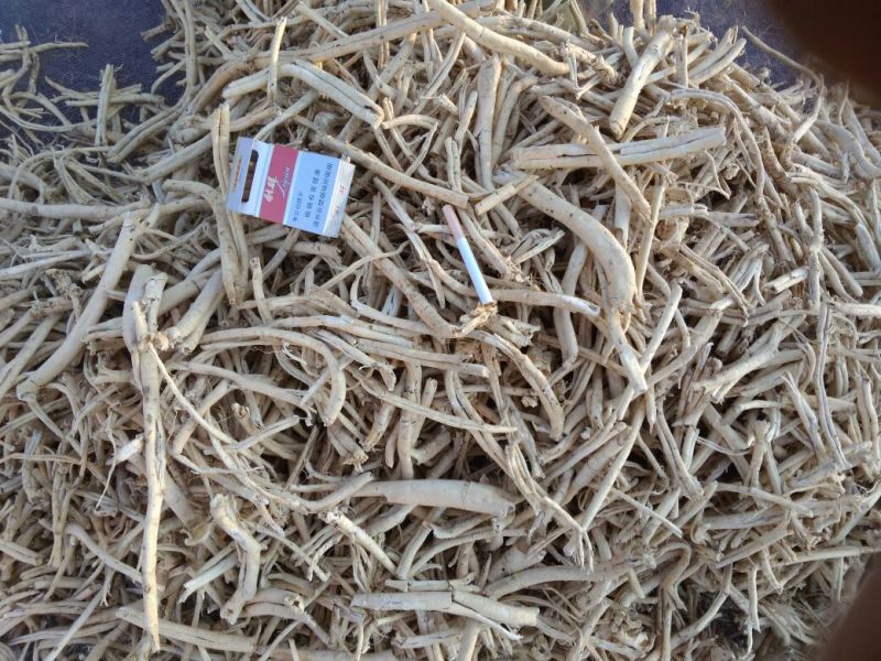 白鲜皮大中小统货精选