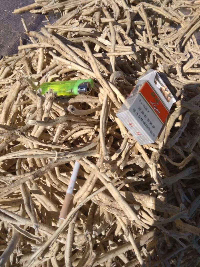 白鲜皮大中小统货精选