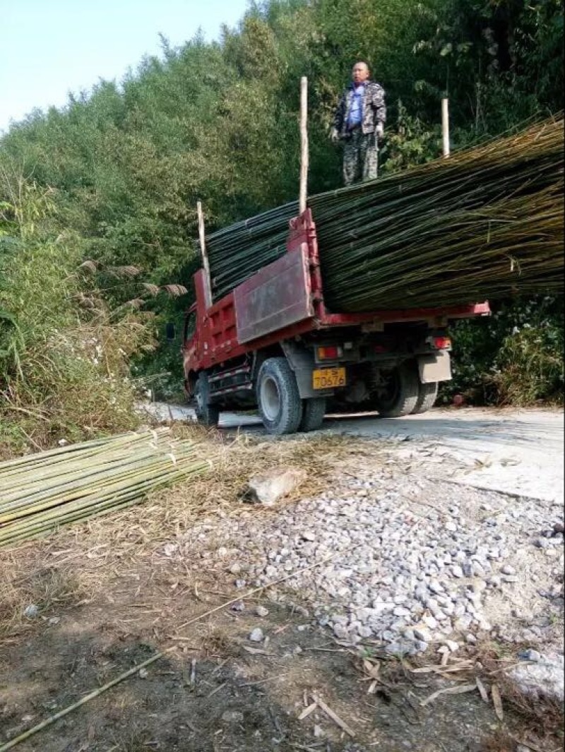 竹竿大棚配件-大棚其它配件价格优惠欢迎采购咨询