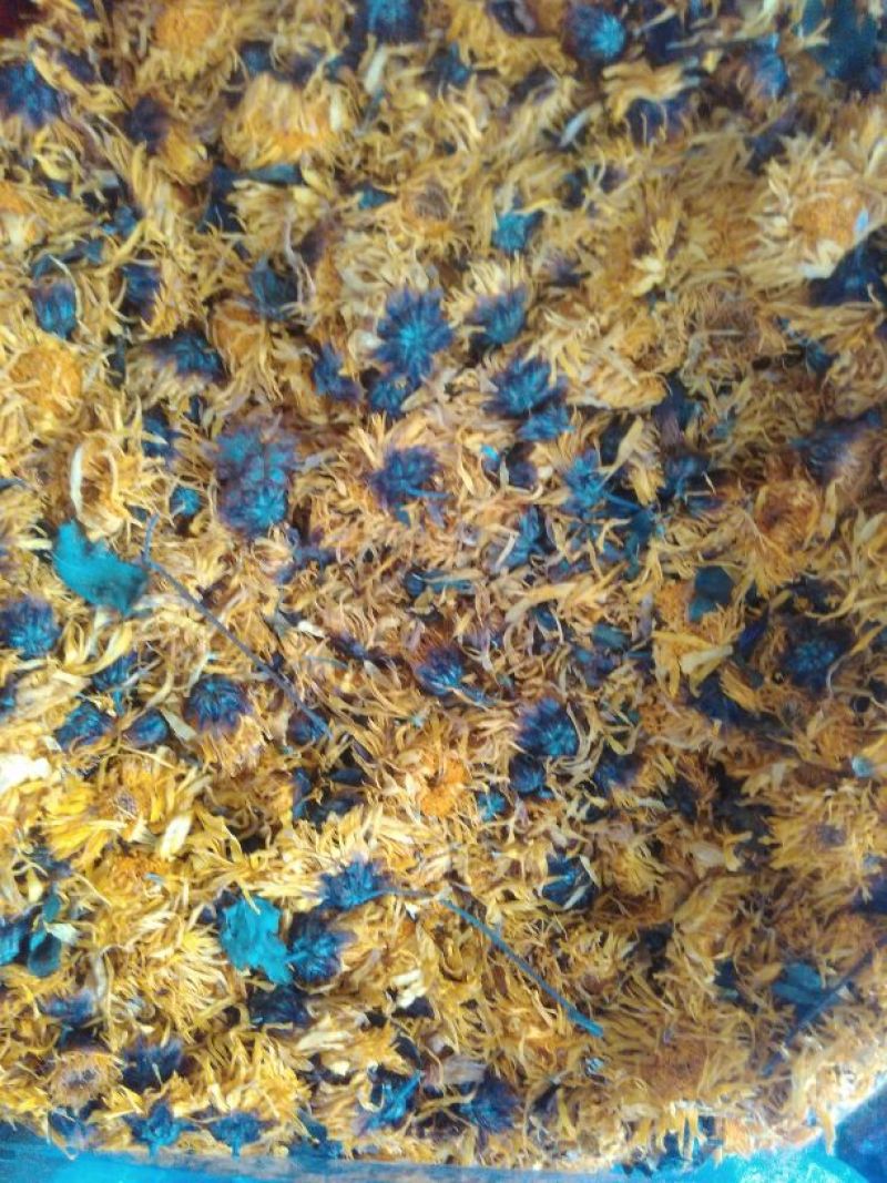 菊花茶四级